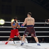 RBK Boxing Night 2