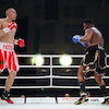 RBK Boxing Night 2