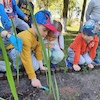 Wiosenne sadzenie kwiatków
