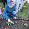Wiosenne sadzenie kwiatków