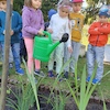 Wiosenne sadzenie kwiatków