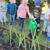 Wiosenne sadzenie kwiatków