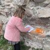 Wolontariusze na tropie ślimaka