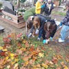 Szkolny Klub Wolontariatu SP6 w akcji sprzątania grobów