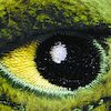 Dino