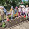 Wiosenne porządki w ogrodzie przedszkolnym 