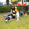 Piknik Bajkowych Rodzin
