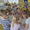 Na majowej łące