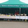 Obchody Nocy Świętojańskiej w Wielbarku
