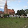 XVI Wielbarkski Festiwal Grzybów Grzybowanie 2025